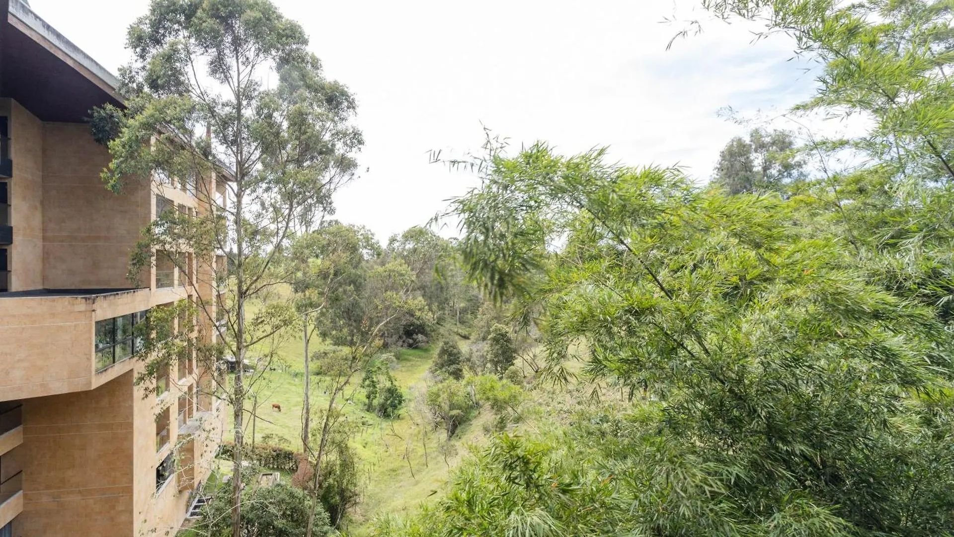 Hermoso Loft En Llanogrande Rionegro